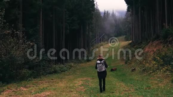 镜头跟随年轻女孩徒步旅行者走在户外的背景森林景观与高大的树木在山上视频的预览图