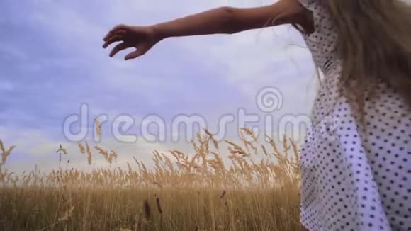 女孩是青少年张开双臂像翅膀跑过田野慢动作视频的预览图