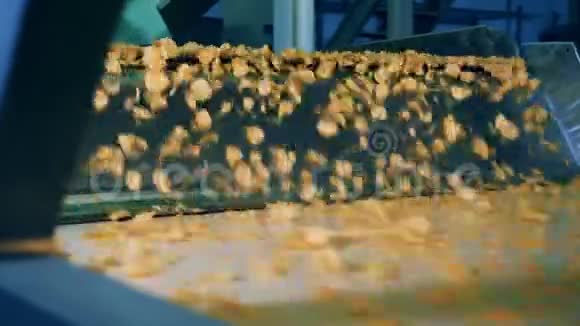 土豆片正在从工业传送带上掉下来视频的预览图