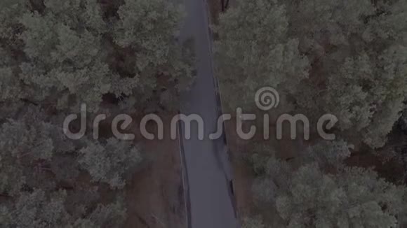 飞越森林公园松树飞越树梢沿着一条汽车行驶的路一辆家庭汽车视频的预览图