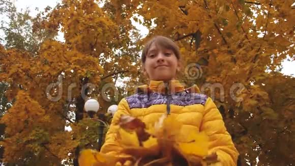 女孩在旋转把秋叶扔了起来慢动作视频的预览图