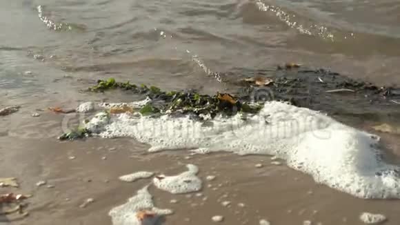沙滩上柔和的蓝色海浪背景有选择的焦点视频的预览图