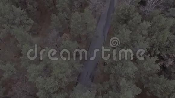 一次飞越森林公园松树飞过树梢和一条成圈的路空中勘测春天公园树林视频的预览图