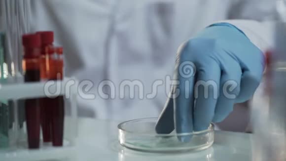 实验室科学家对血样进行医学研究制造疫苗视频的预览图