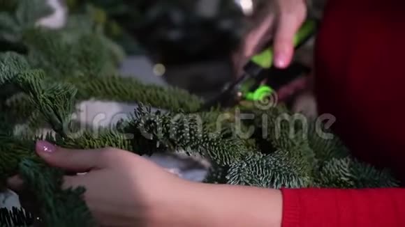 准备庆祝圣诞节和新年这个女孩用云杉枝做了一个花圈研讨会视频的预览图