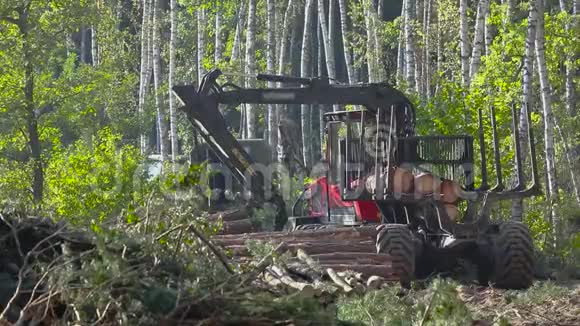 卡车车身装载木材木材收集木材切割视频的预览图
