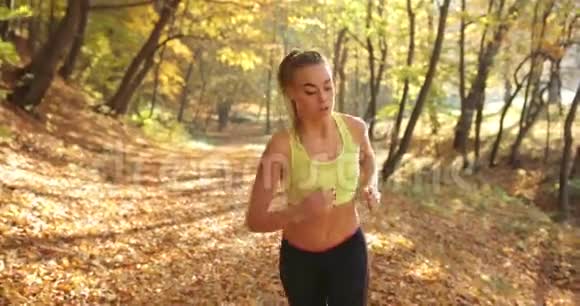 公园里的女跑步者女人在镜头前直勾勾地看着而她却在秋天公园的小径上奔跑视频的预览图