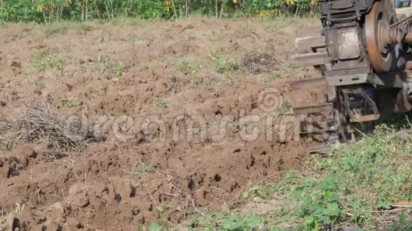 老人用小拖拉机耕田调整土壤进行种植视频的预览图