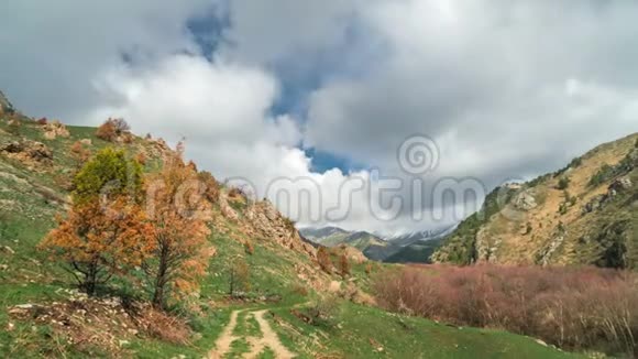 阿尔卑斯山美丽景观的时间推移景观绿色的草地盛开的橘子树和山顶视频的预览图