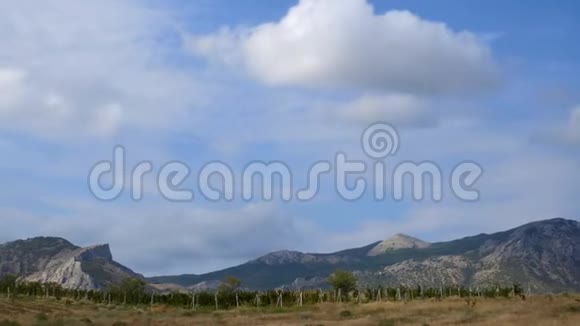 群山映衬蓝天白云克里米亚山区的葡萄种植园山谷里的葡萄园视频的预览图