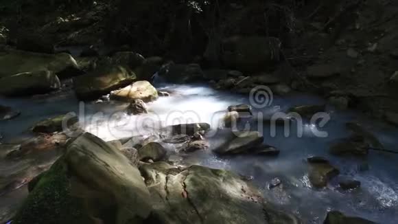 森林河流背景有石头视频的预览图