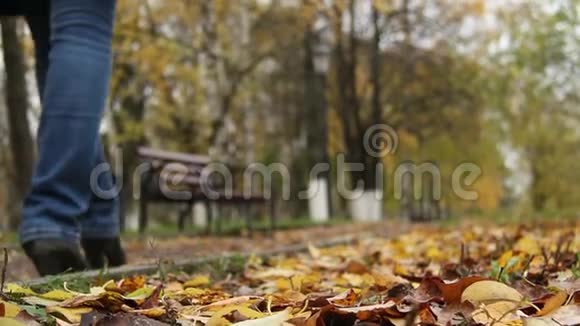秋天公园里一个女人的剪影视频的预览图