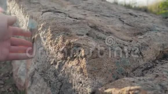 考古学概念人触摸手石花岗岩岩石阳光大自然的生活方式狂野古老的石头视频的预览图