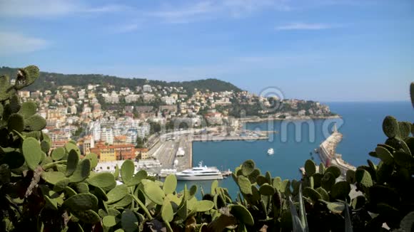 美丽的城市和港口后面的绿色仙人掌前往法国视频的预览图