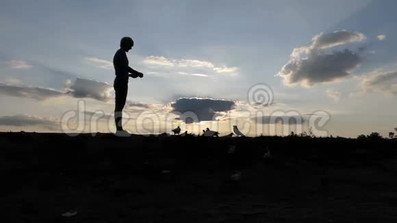 日落时分年轻人站在草坪上喂鸽子视频的预览图