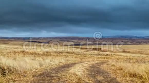 时间流逝全景风暴在黄色麦田在阴天视频的预览图