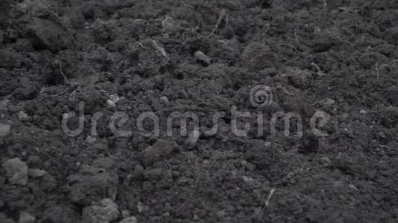 相机滑过干净的黑暗土壤地面在春天开始的镜头视频的预览图