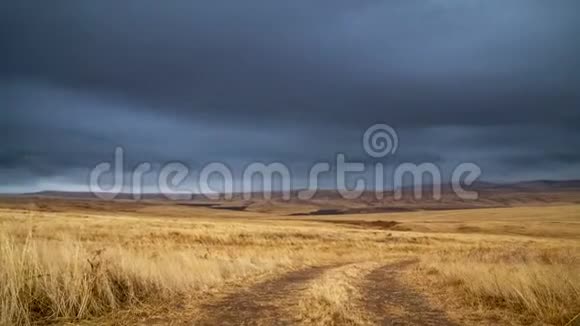 时间流逝全景风暴在黄色麦田在阴天视频的预览图