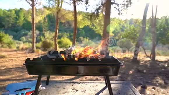 烧烤木炭着火了视频的预览图