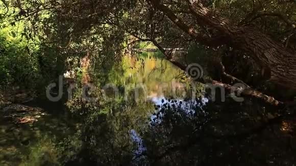 以色列北部国家保护区的希腊河流视频的预览图