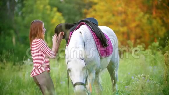 在夏天的田野里年轻女子把马鞍固定在马上视频的预览图