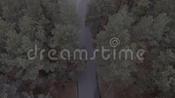 飞越森林公园松树飞越树梢和一条黑色跑车的公路视频的预览图