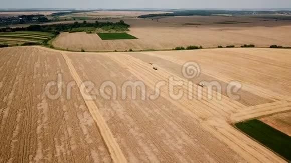 两种现代联合收割机和拖拉机在田间收获小麦的空中景观视频的预览图
