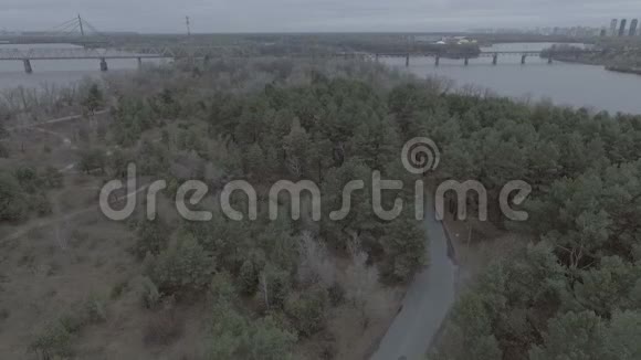 在森林公园松树上飞行在树梢和道路上飞行在远处飞行就是Dnieper河视频的预览图