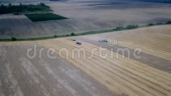 夏季收割小麦两个组合收割小麦的空中景观视频的预览图