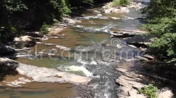佐治亚州索普溪夏季从桥上俯瞰索普溪下游视频的预览图