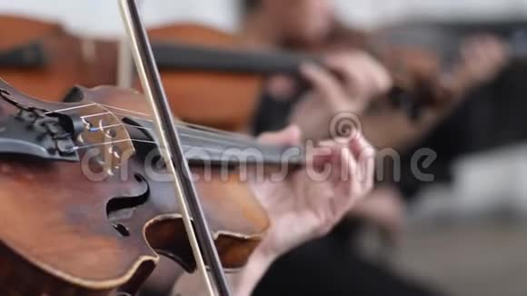 交响乐团女声在室内交响乐团的模糊背景下演奏小提琴视频的预览图