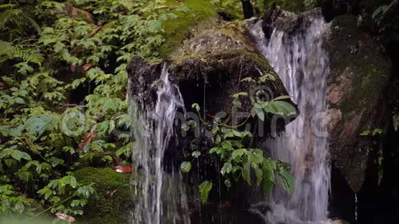 喜马拉雅山瀑布电影尼泊尔纯透明水森林溪视频的预览图