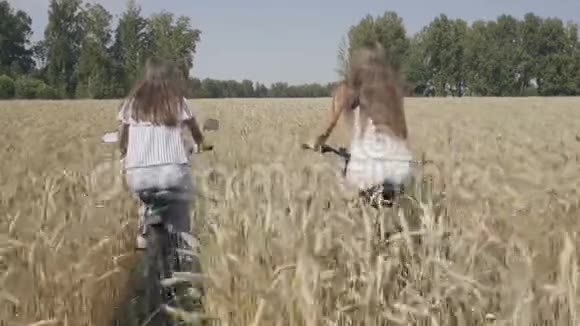 骑自行车在麦田里的女朋友视频的预览图