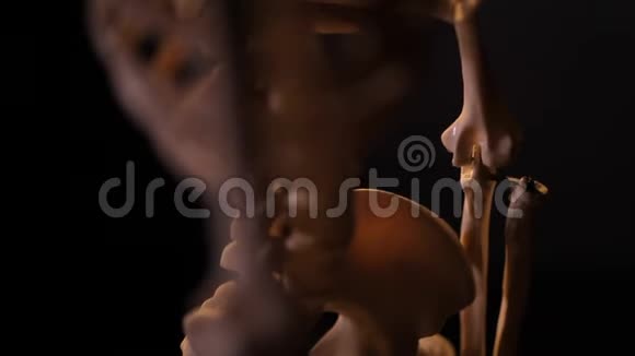 人体骨骼模型视频的预览图