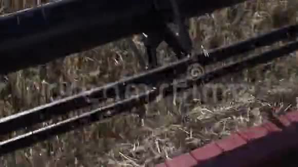 工业联合收割机刀片在田间切近黑麦视频的预览图