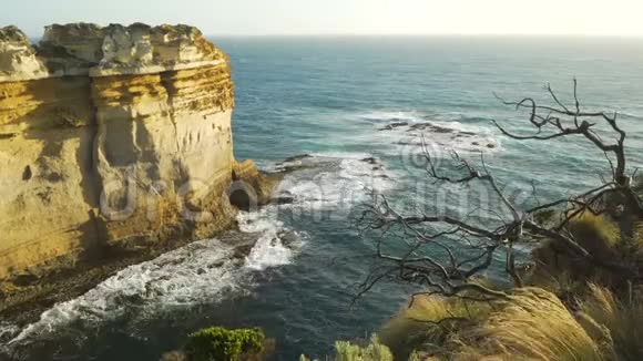 澳大利亚维多利亚十二使徒日落时剃刀放哨的多利移动视频的预览图