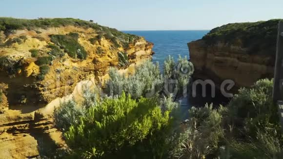 多莉在澳大利亚十二使徒雷霆洞的悬崖上视频的预览图