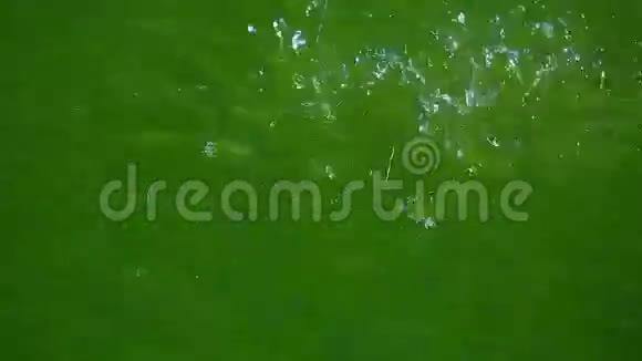 水滴在水坑里视频的预览图
