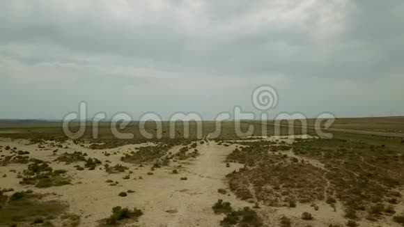 哈萨克斯坦干草原背景下的两驼背跑野骆驼视频的预览图