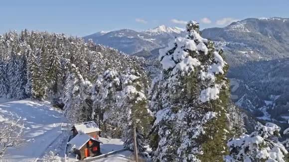 冬季全景树雪景空中4k视频的预览图