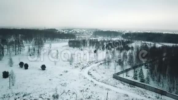 冬天的森林从高处概述视频的预览图