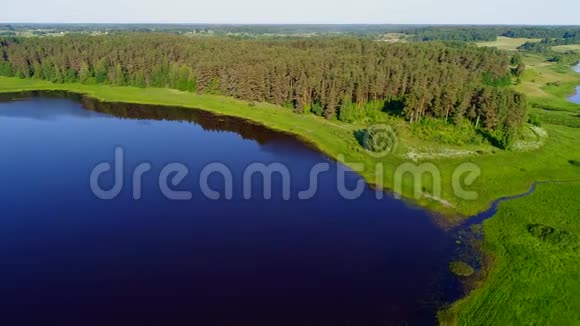 六月的一个阳光明媚的早晨在马勒涅茨湖Mikhailovskoe普希金山视频的预览图