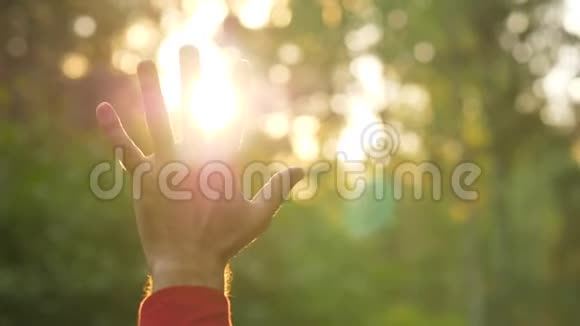 阳光透过人的手指照进来闭上眼睛视频的预览图