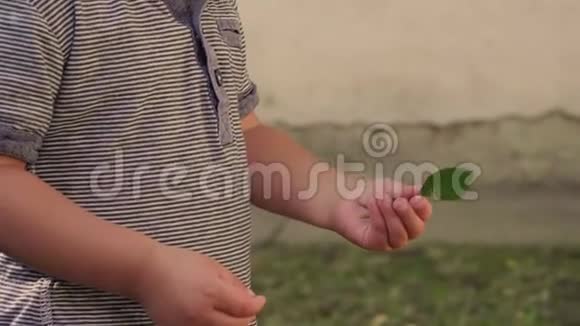 可爱的小男孩抱着一片叶子视频的预览图