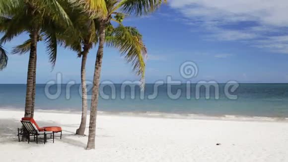 热带海滩有棕榈树和酒廊视频的预览图