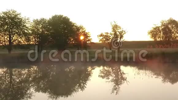日出透过雾蒙蒙的湖面的树木照耀视频的预览图