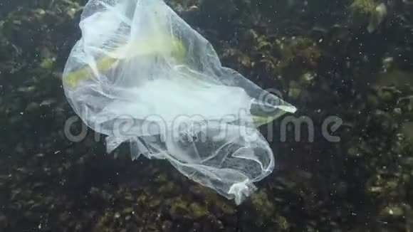 大鼻管鱼斑疹伤寒垃圾在水中聚乙烯袋杀死海洋动物自然生态可塑视频的预览图
