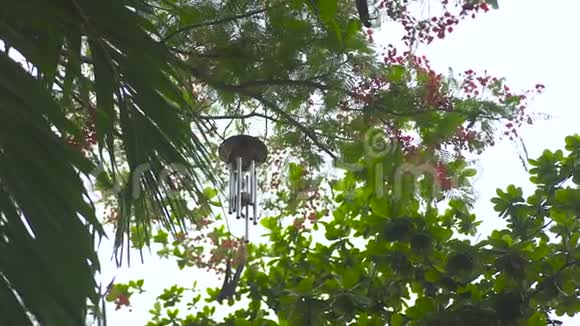 夏天花园里的风铃挂在树上风水风磬在树枝上风水符号概念视频的预览图