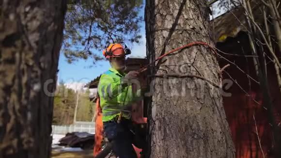 植树者爬上树干视频的预览图