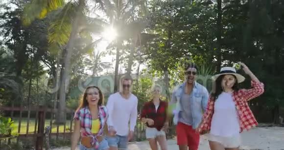 男子和妇女在热带棕榈树公园的海滩上快乐地奔跑视频的预览图